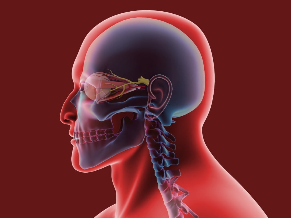 Conceptual image of human eye and skull Canvas Art - Stocktrek Images (17 x 13)