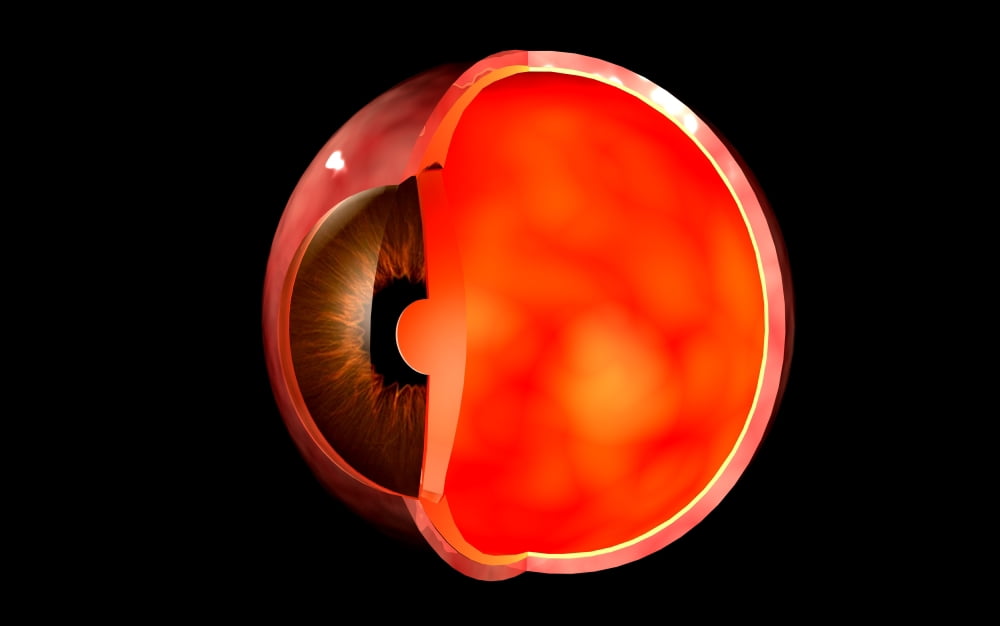 Conceptual image of human eye cross section Canvas Art - Stocktrek Images (18 x 12)