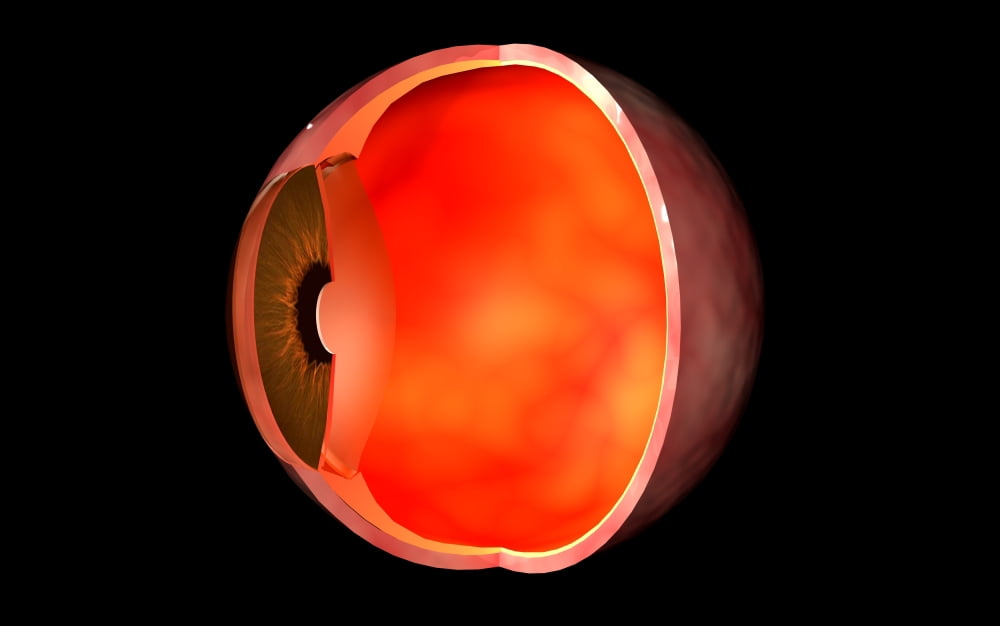 Conceptual image of human eye cross section Canvas Art - Stocktrek Images (36 x 23)