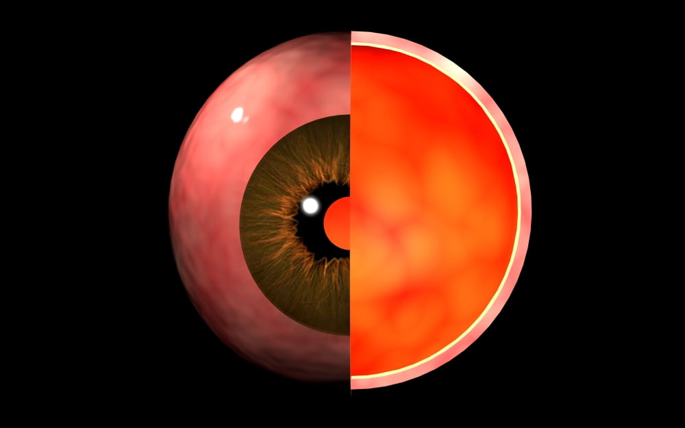 Conceptual image of human eye cross section Canvas Art - Stocktrek Images (36 x 23)