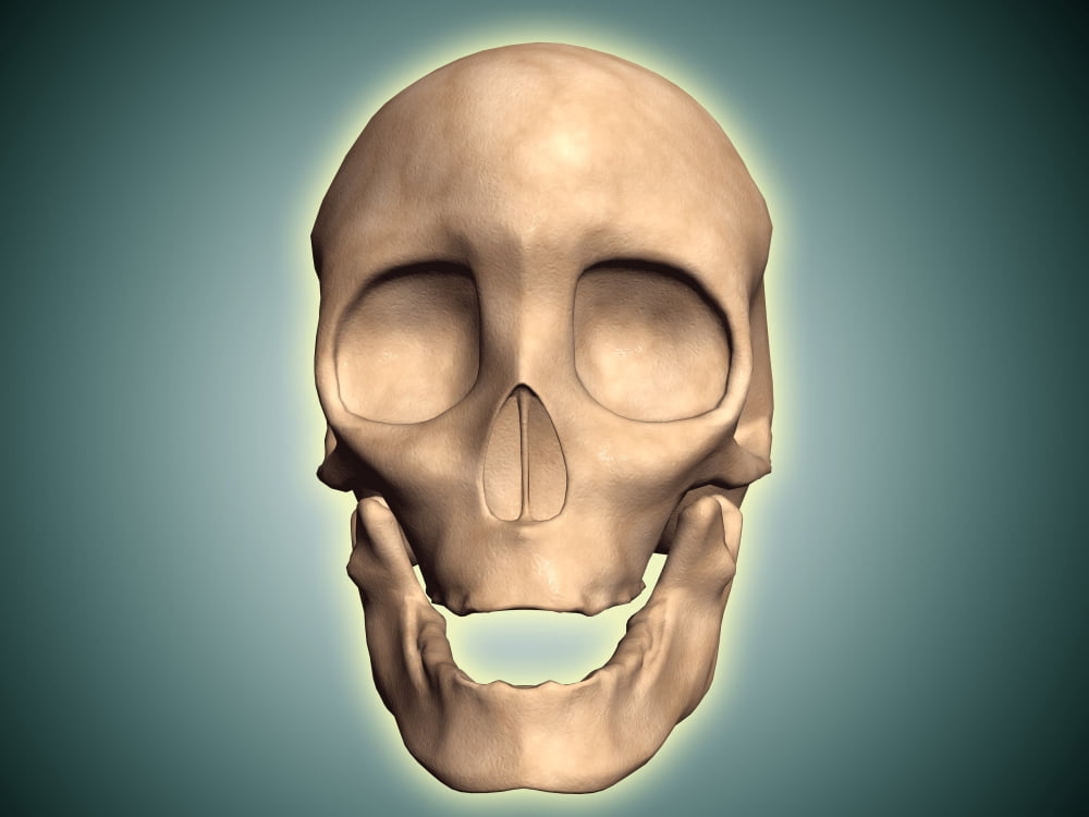 Conceptual image of human skull front view Canvas Art - Stocktrek Images (17 x 13)