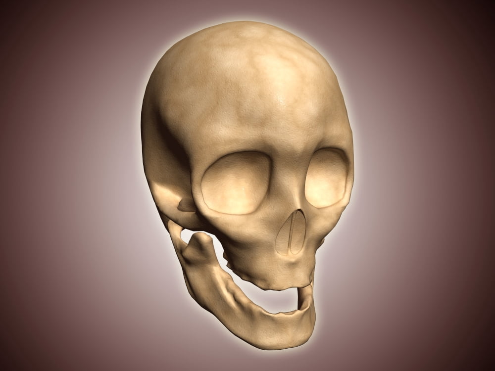 Conceptual image of human skull perspective view Canvas Art - Stocktrek Images (17 x 13)