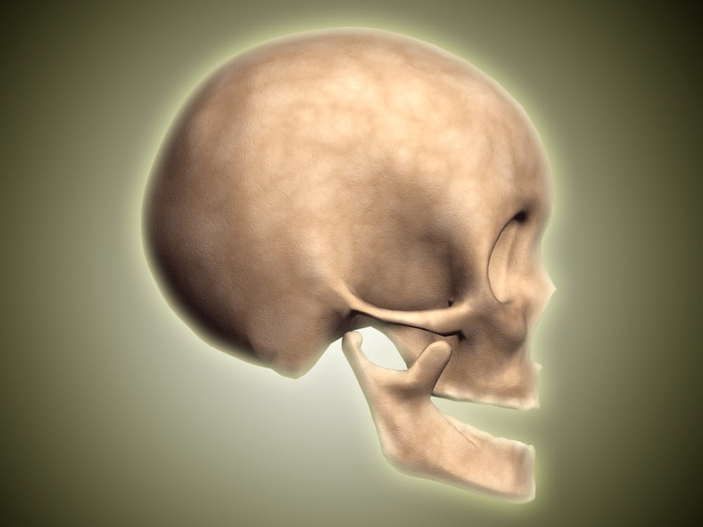 Conceptual image of human skull side view Canvas Art - Stocktrek Images (33 x 25)
