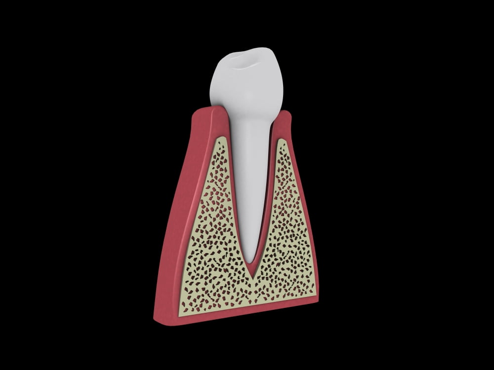 Conceptual image of human tooth Canvas Art - Stocktrek Images (17 x 13)
