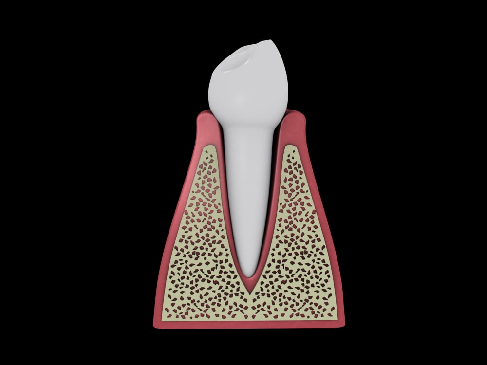 Conceptual image of human tooth Canvas Art - Stocktrek Images (33 x 25)