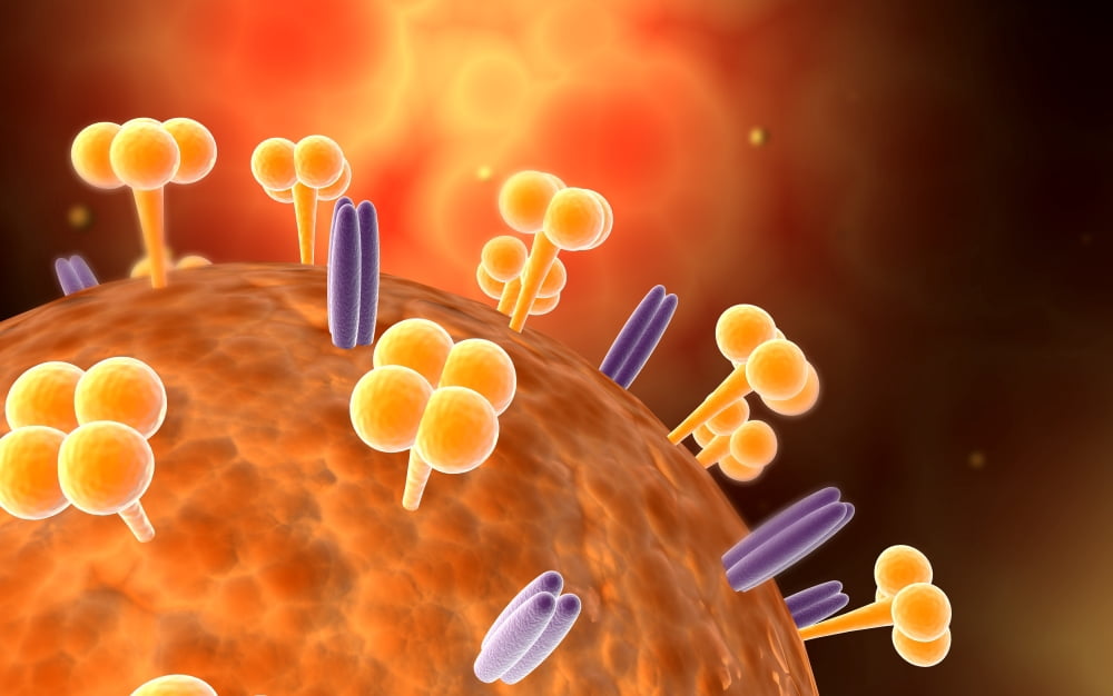Conceptual image of influenza causing flu virus Canvas Art - Stocktrek Images (18 x 12)