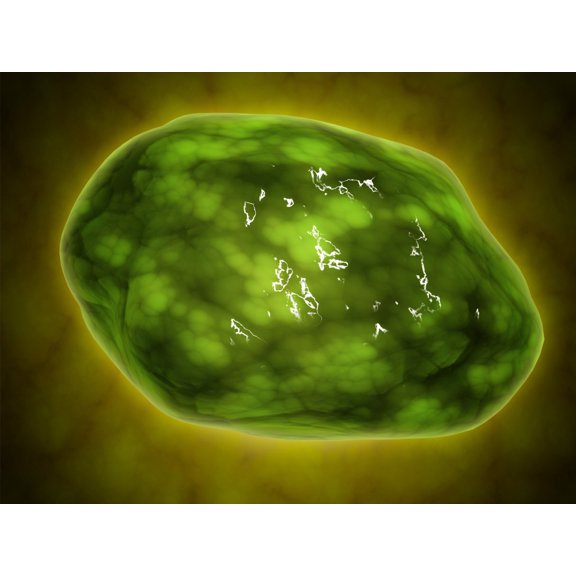Conceptual image of lysosome Canvas Art - Stocktrek Images (33 x 25)