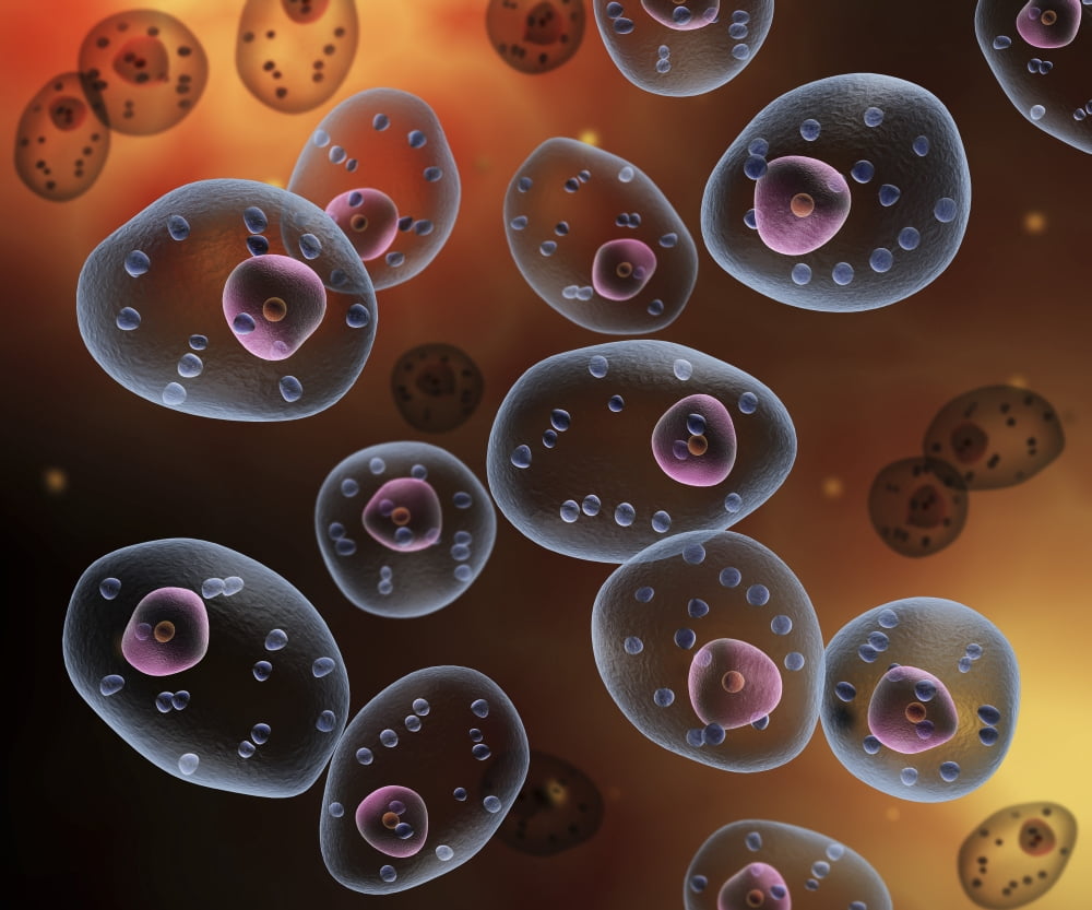 Conceptual image of mast cells Canvas Art - Stocktrek Images (16 x 13)