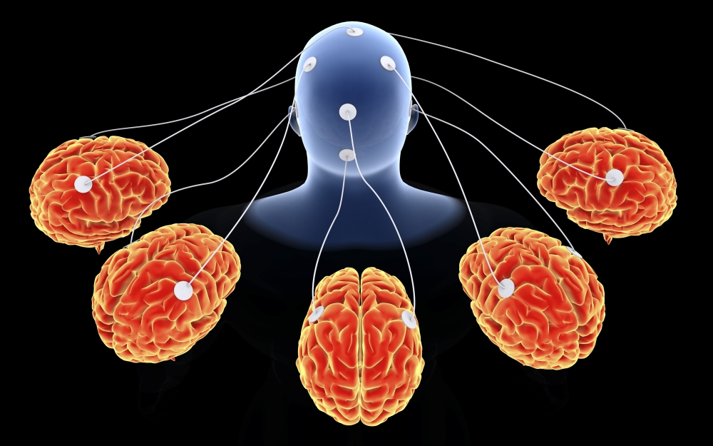 Conceptual image of multi-brain processing Canvas Art - Stocktrek Images (18 x 12)