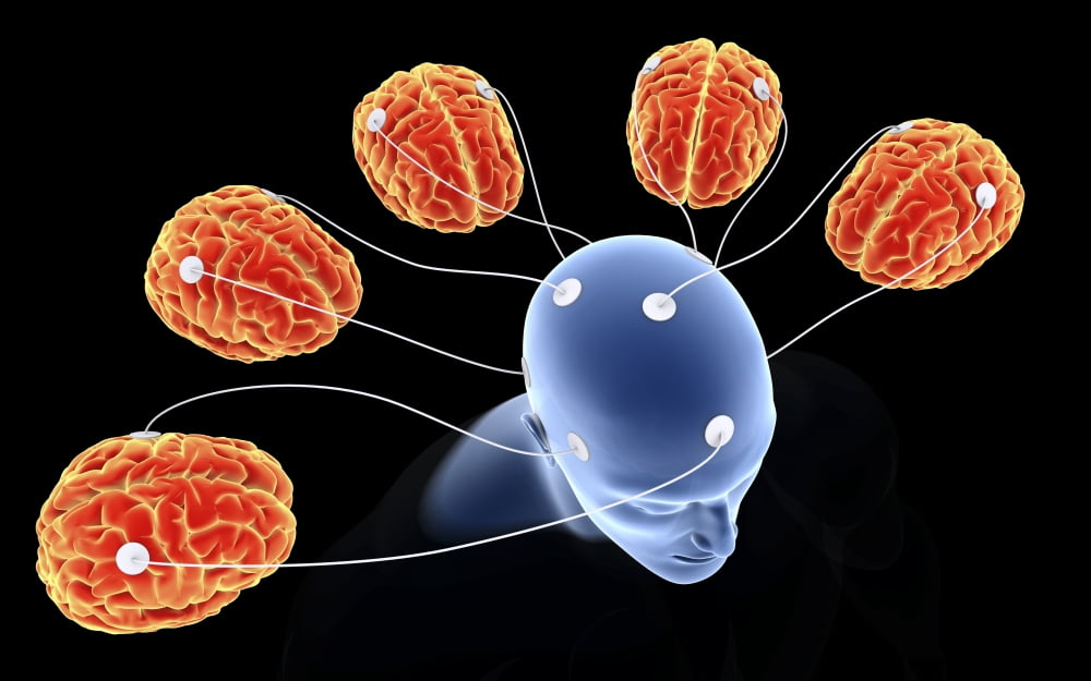 Conceptual image of multi-brain processing Canvas Art - Stocktrek Images (18 x 12)