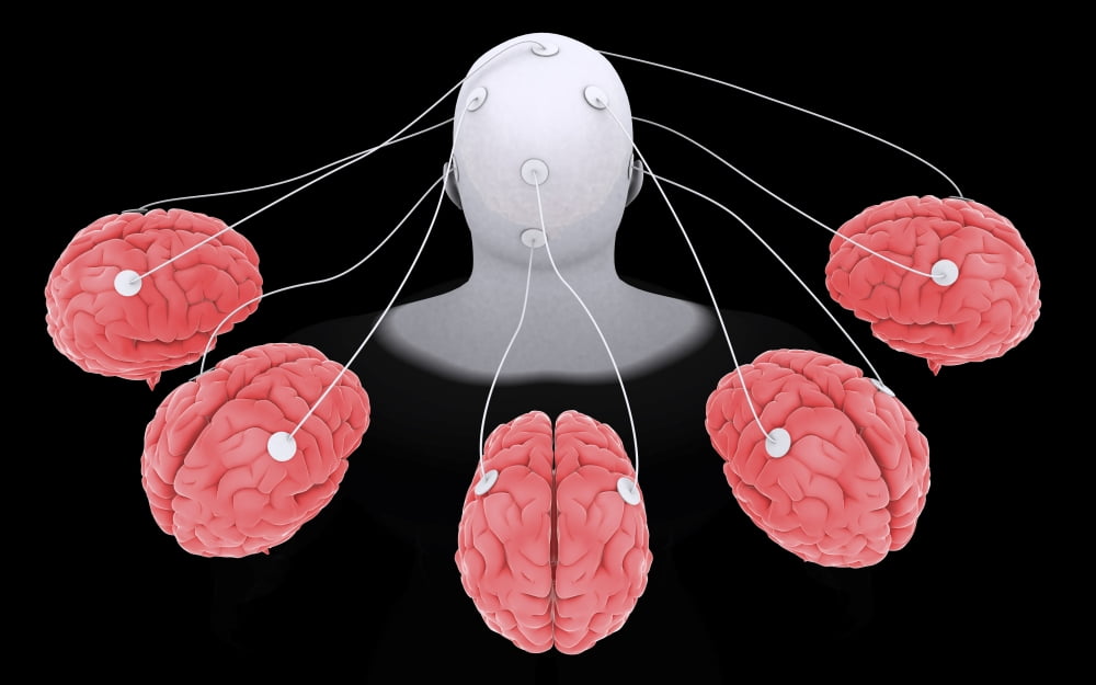 Conceptual image of multi-brain processing Canvas Art - Stocktrek Images (18 x 12)