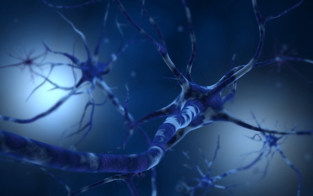 Conceptual image of neuron Canvas Art - Stocktrek Images (18 x 12)