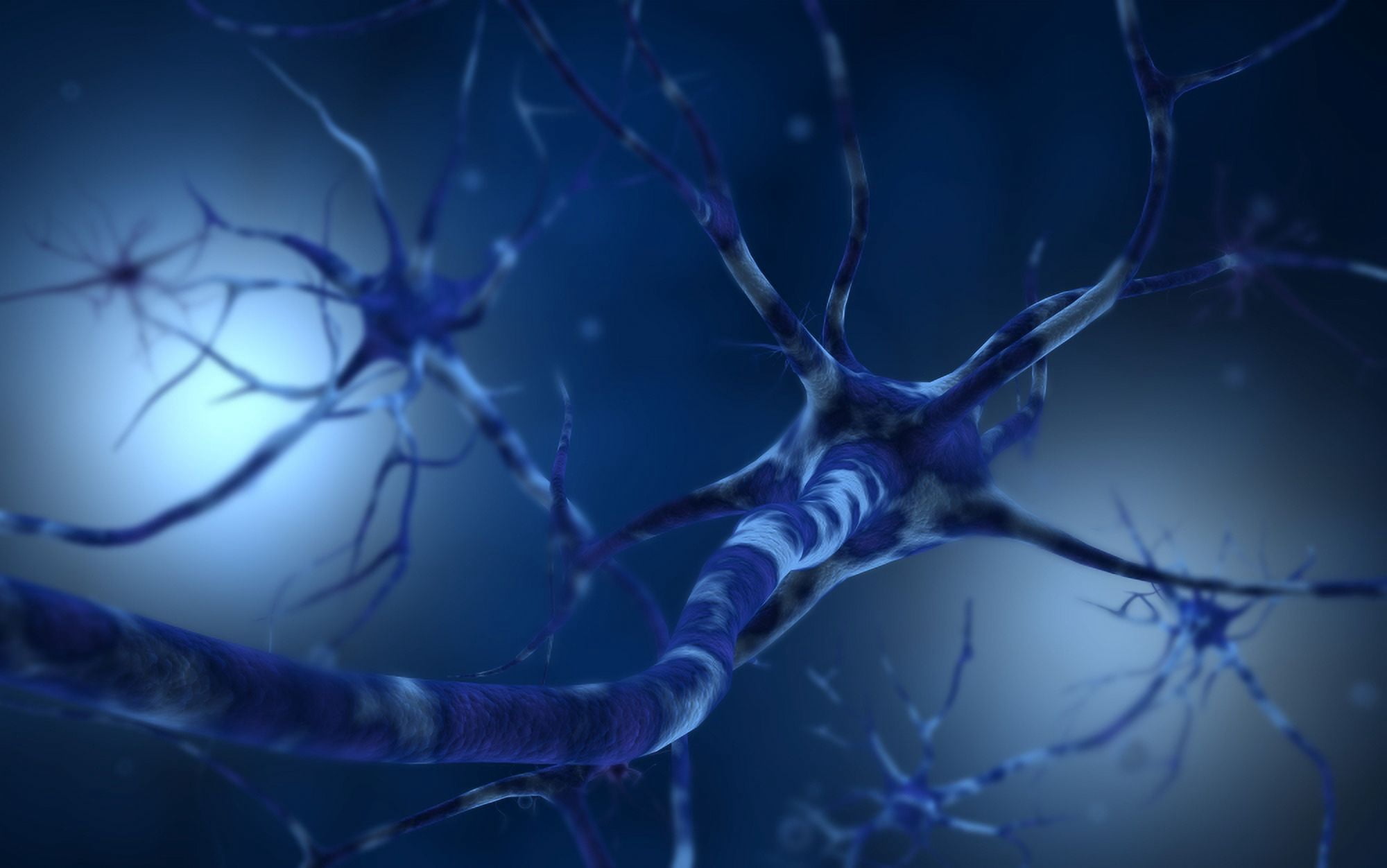 Conceptual image of neuron Canvas Art - Stocktrek Images (36 x 23)