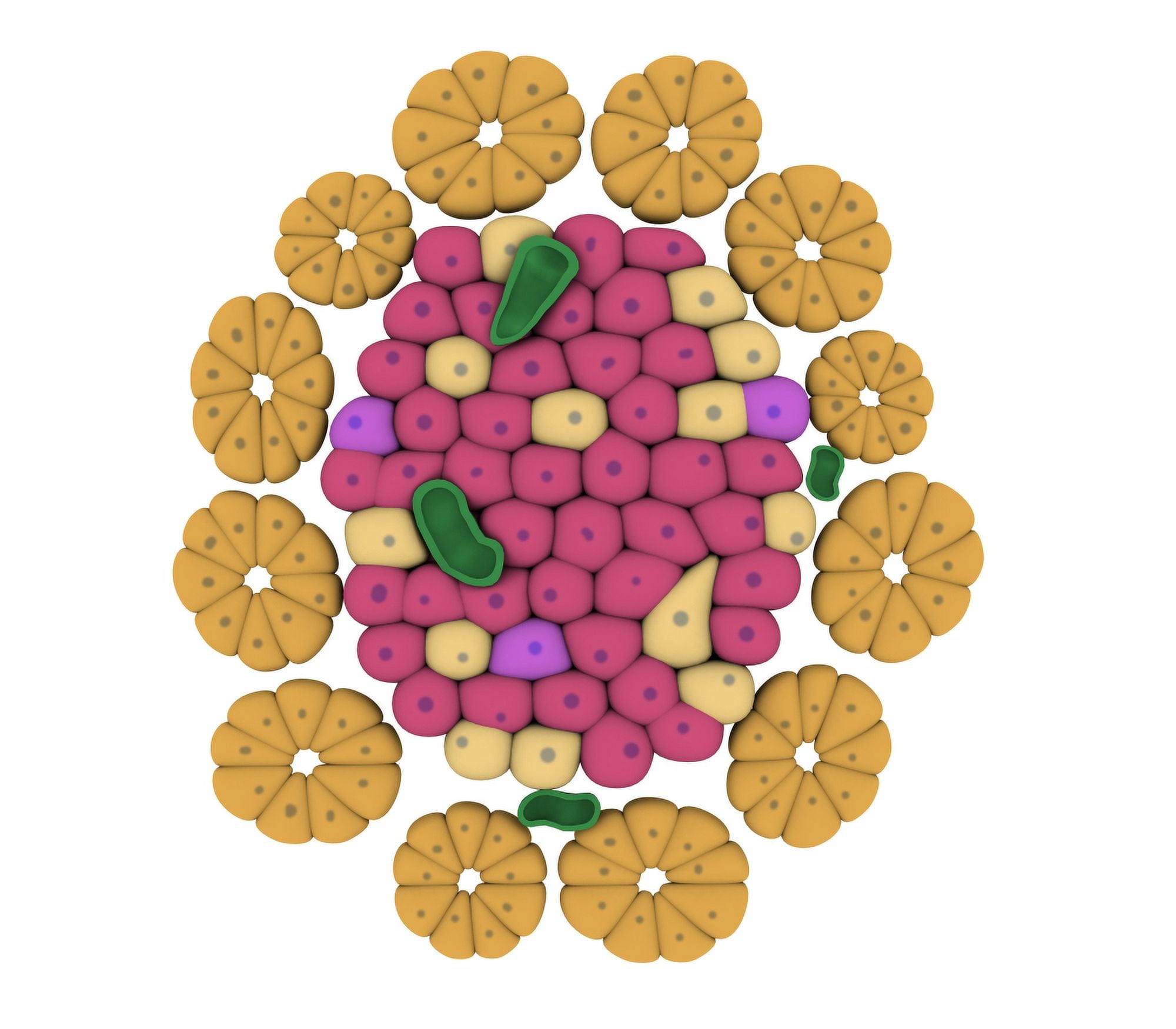 Conceptual image of pancreatic islet of Langerhans Canvas Art - Stocktrek Images (31 x 27)