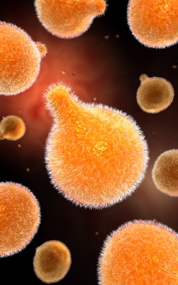 Conceptual image of plasmodium causing malaria Canvas Art - Stocktrek Images (12 x 18)