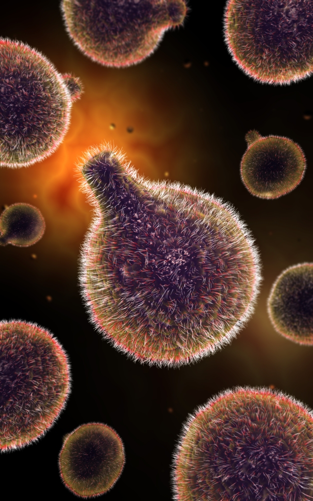 Conceptual image of plasmodium causing malaria Canvas Art - Stocktrek Images (23 x 36)