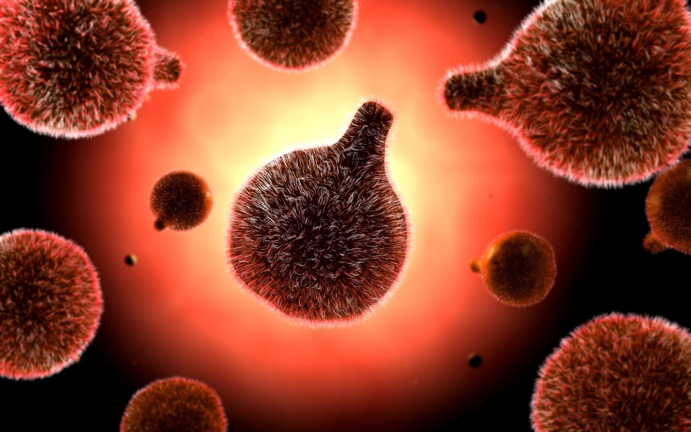 Conceptual image of plasmodium causing malaria Canvas Art - Stocktrek Images (36 x 23)