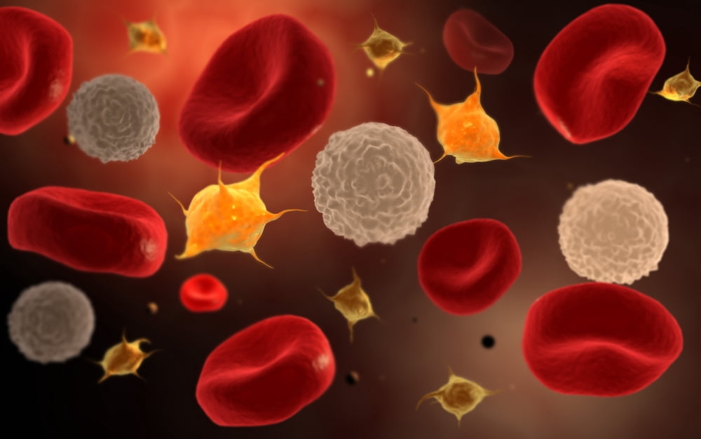 Conceptual image of platelets with red blood cells Canvas Art - Stocktrek Images (18 x 12)