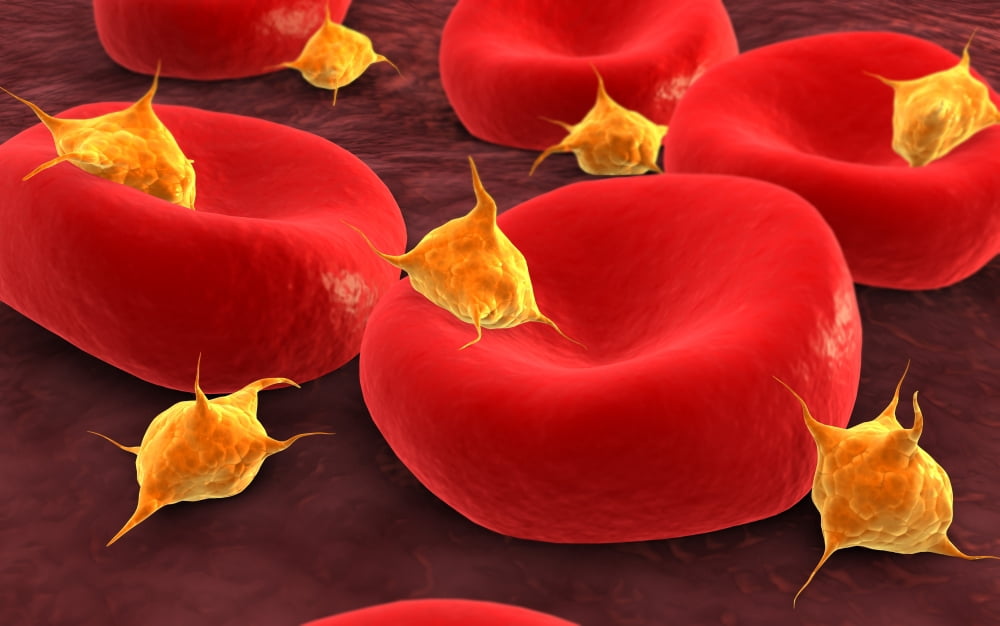 Conceptual image of platelets with red blood cells Canvas Art - Stocktrek Images (18 x 12)
