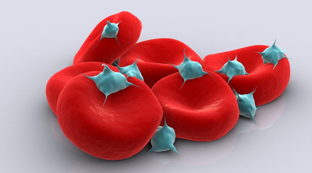 Conceptual image of platelets with red blood cells Canvas Art - Stocktrek Images (19 x 11)