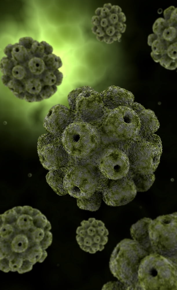 Conceptual image of polyomavirus Canvas Art - Stocktrek Images (11 x 18)