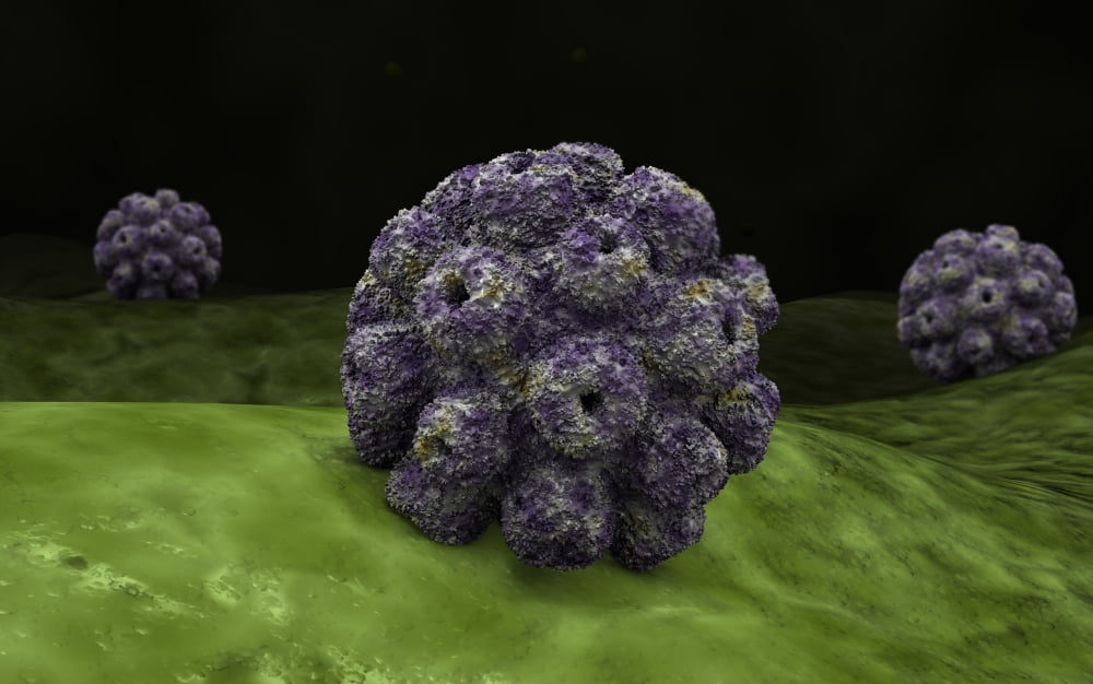 Conceptual image of polyomavirus Canvas Art - Stocktrek Images (18 x 12)