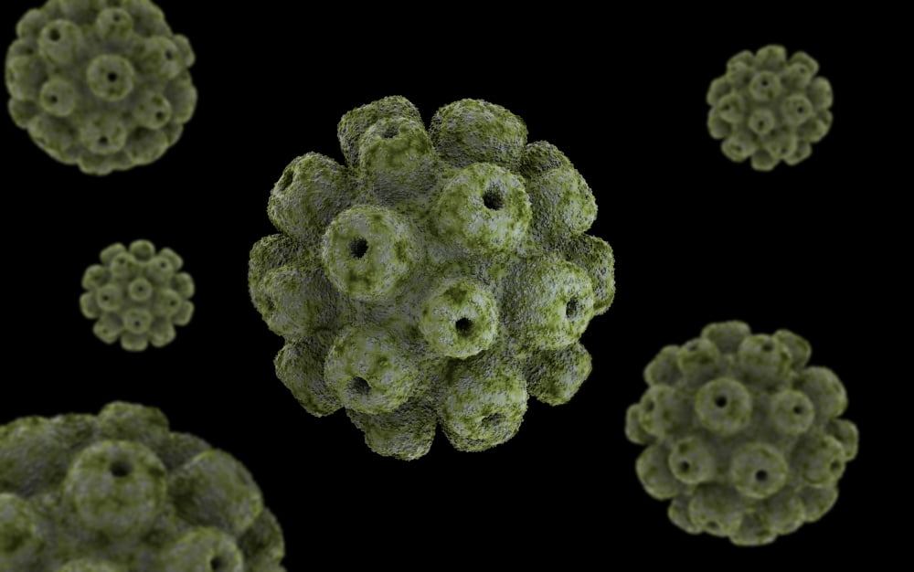 Conceptual image of polyomavirus Canvas Art - Stocktrek Images (18 x 12)