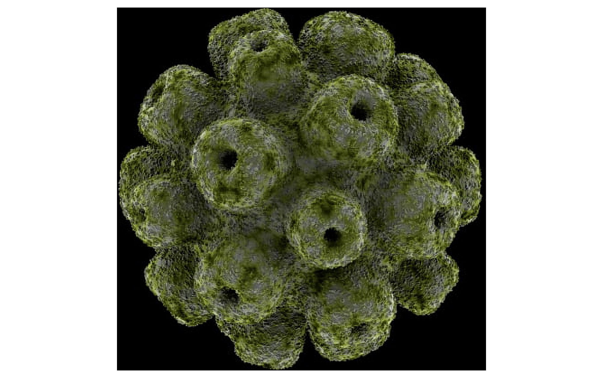 Conceptual image of polyomavirus Canvas Art - Stocktrek Images (18 x 12)