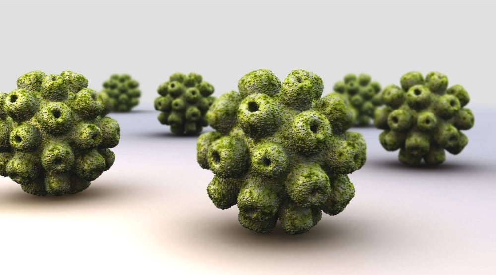 Conceptual image of polyomavirus Canvas Art - Stocktrek Images (19 x 11)