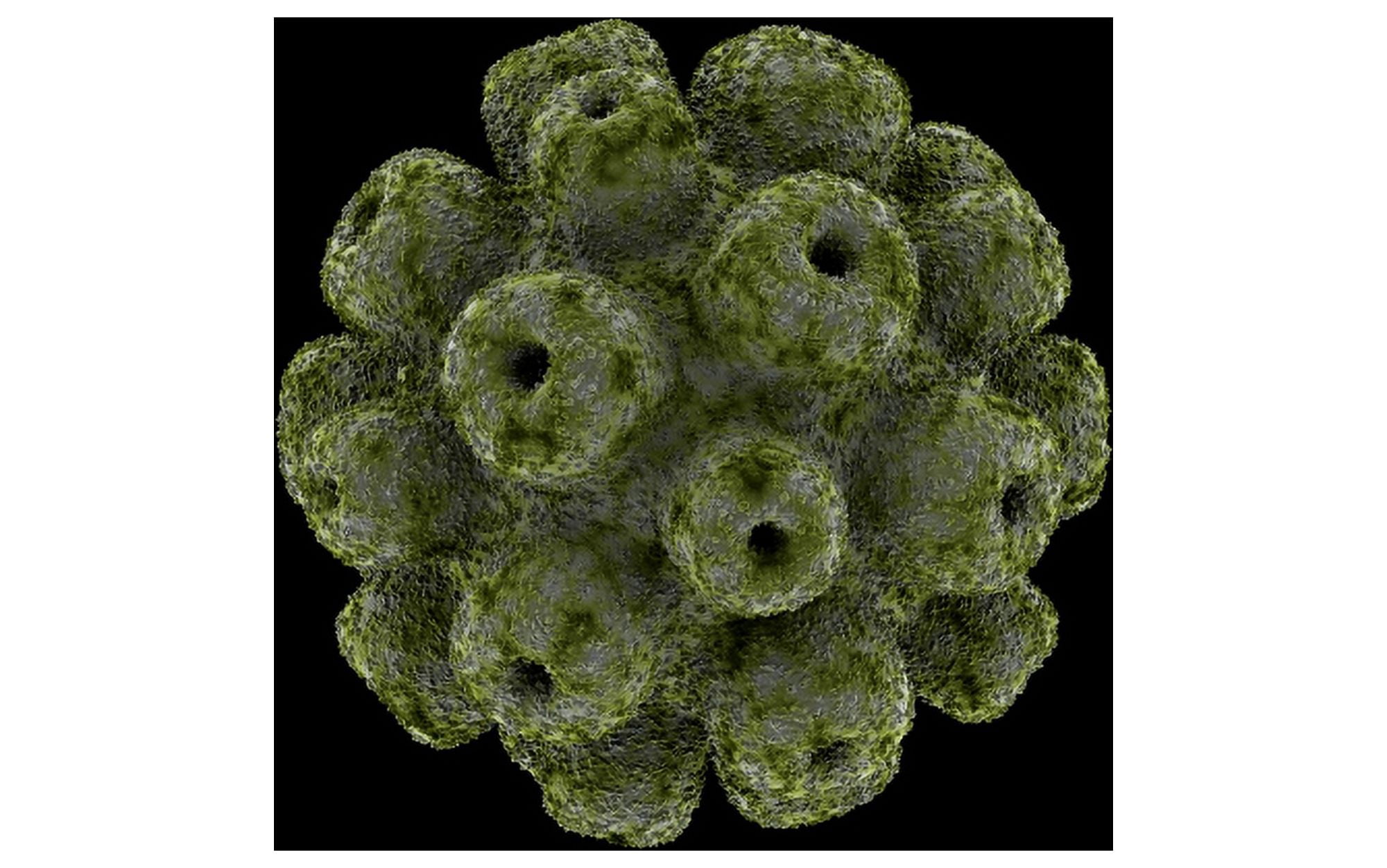 Conceptual image of polyomavirus Canvas Art - Stocktrek Images (36 x 23)