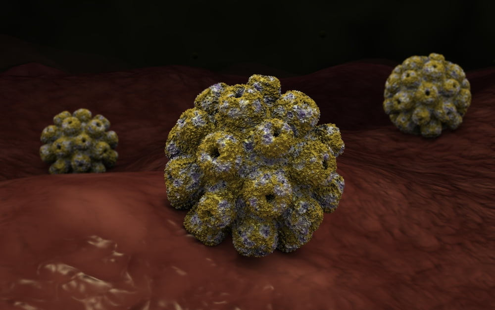 Conceptual image of polyomavirus Canvas Art - Stocktrek Images (36 x 23)