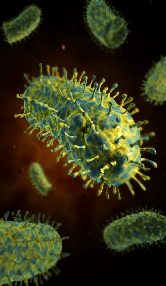 Conceptual image of rabies virus Canvas Art - Stocktrek Images (11 x 19)