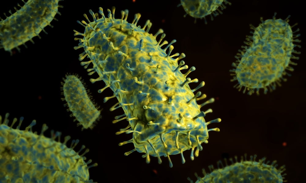 Conceptual image of rabies virus Canvas Art - Stocktrek Images (36 x 22)