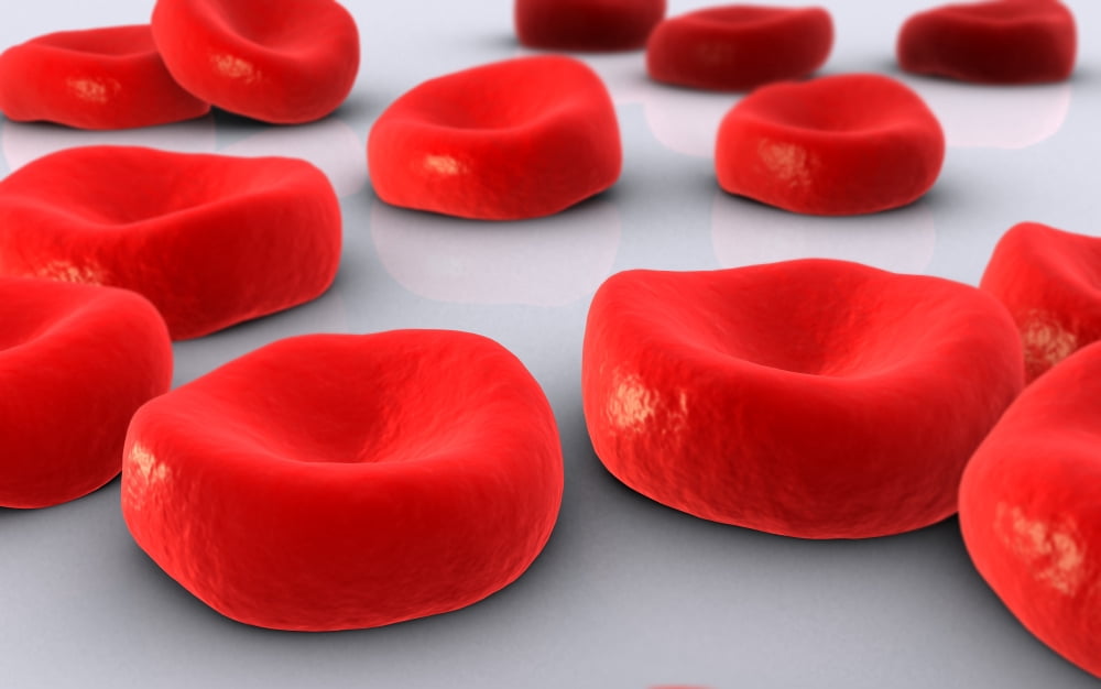 Conceptual image of red blood cells Canvas Art - Stocktrek Images (18 x 12)