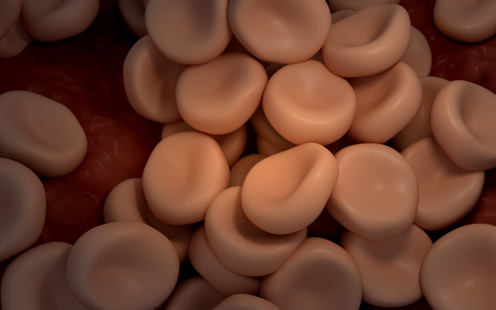 Conceptual image of red blood cells Canvas Art - Stocktrek Images (18 x 12)