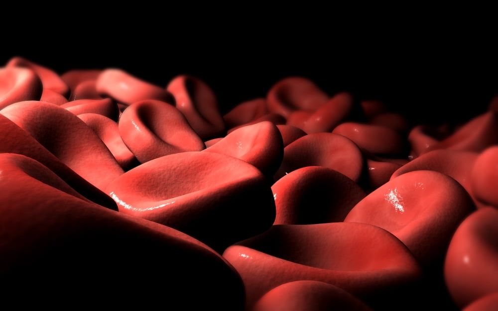 Conceptual image of red blood cells Canvas Art - Stocktrek Images (18 x 12)