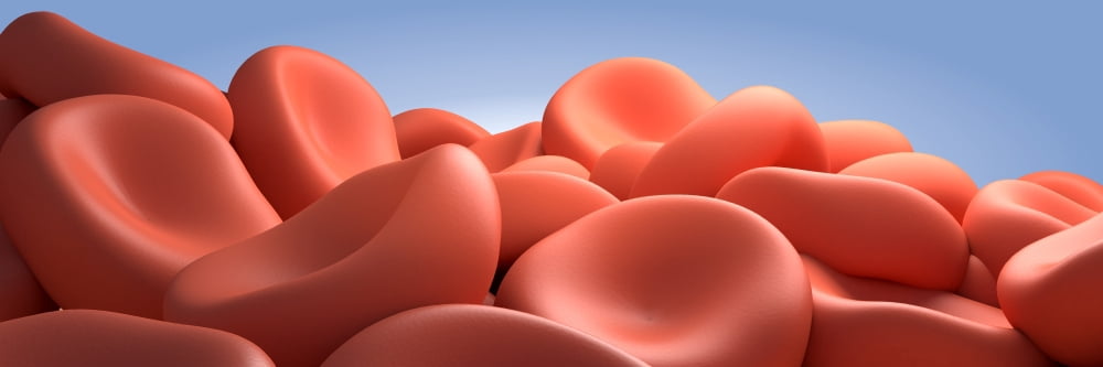 Conceptual image of red blood cells Canvas Art - Stocktrek Images (25 x 9)