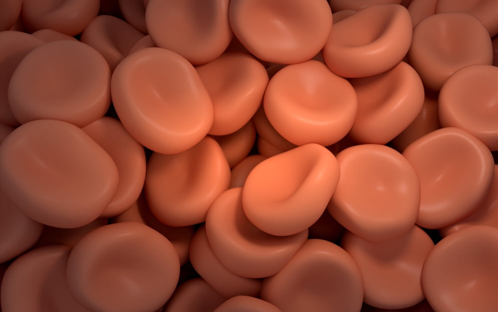 Conceptual image of red blood cells Canvas Art - Stocktrek Images (36 x 23)
