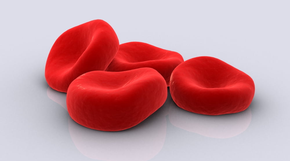 Conceptual image of red blood cells Canvas Art - Stocktrek Images (38 x 22)