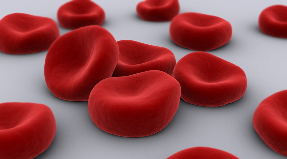 Conceptual image of red blood cells Canvas Art - Stocktrek Images (38 x 22)