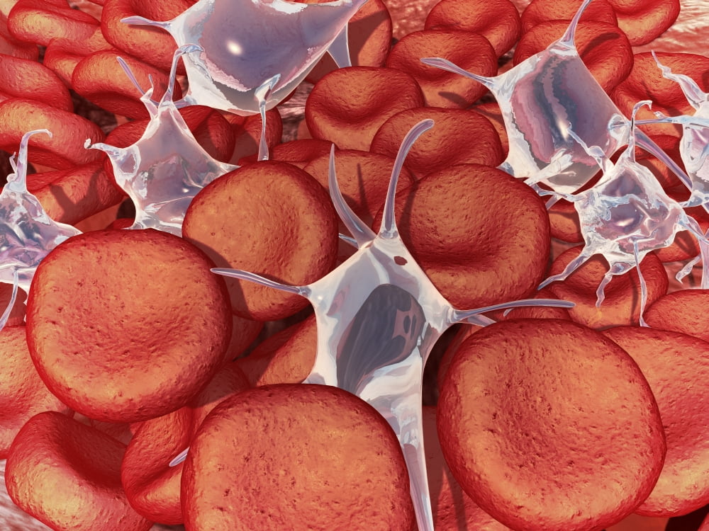 Conceptual image of red blood cells with platelets Canvas Art - Stocktrek Images (33 x 25)
