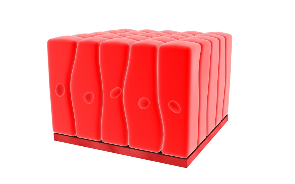 Conceptual image of simple columnar epithelium Canvas Art - Stocktrek Images (18 x 12)