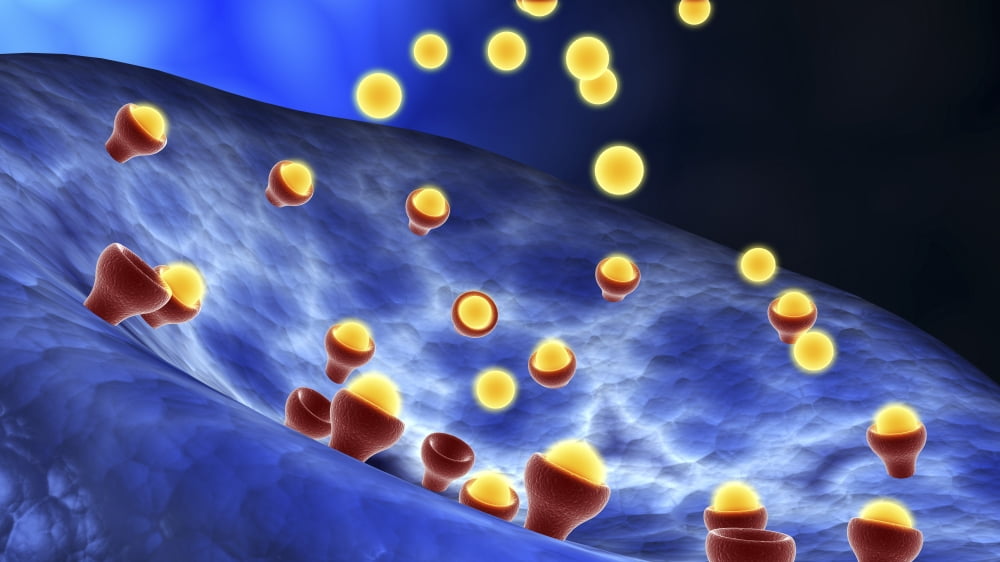 Conceptual image of synapse receptors Canvas Art - Stocktrek Images (19 x 11)