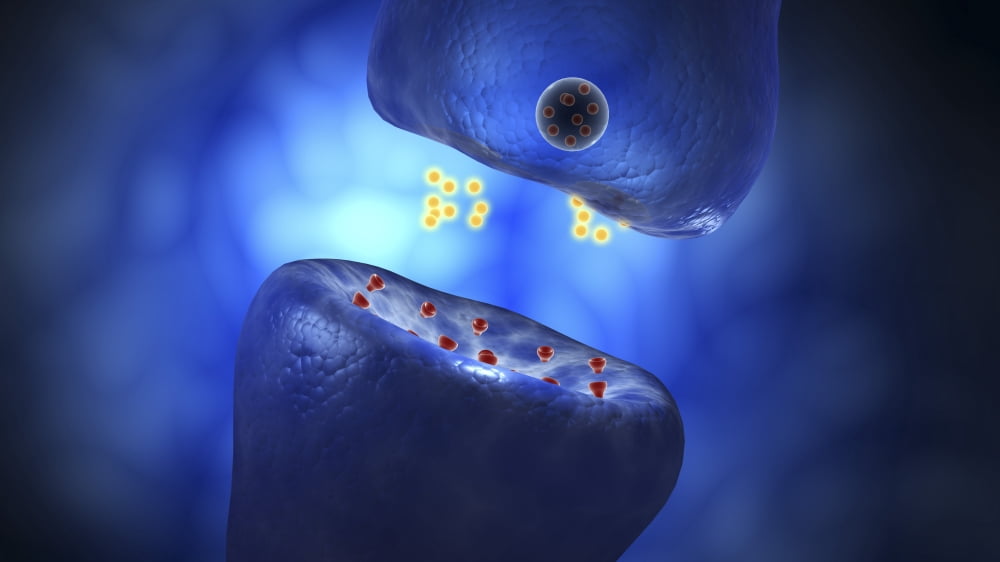Conceptual image of synaptic transmission Canvas Art - Stocktrek Images (19 x 11)