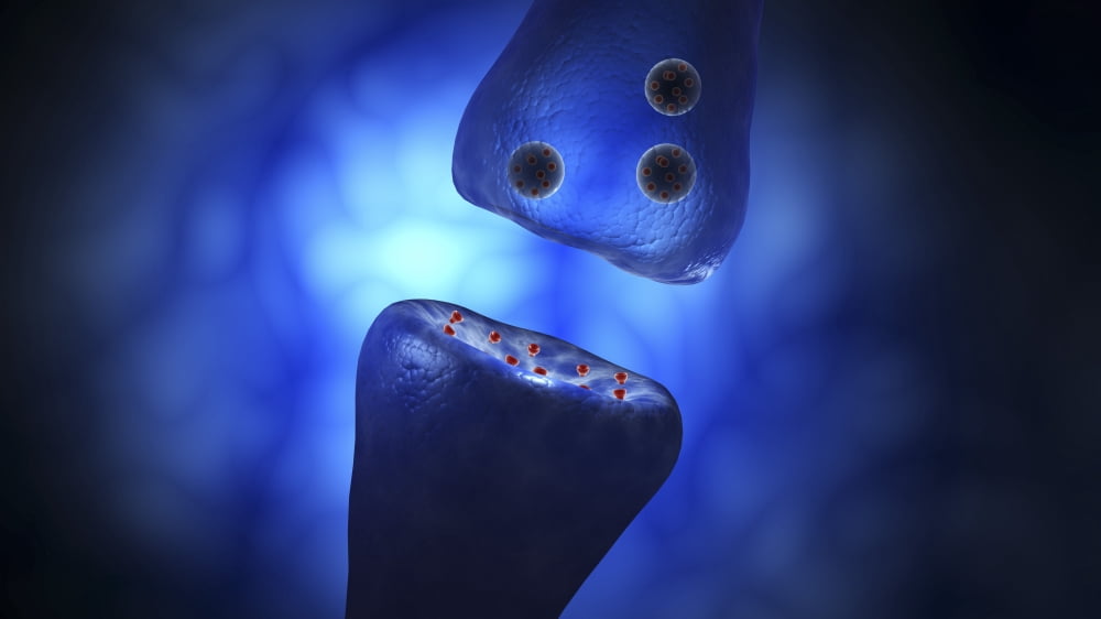 Conceptual image of synaptic vesicles Canvas Art - Stocktrek Images (38 x 22)