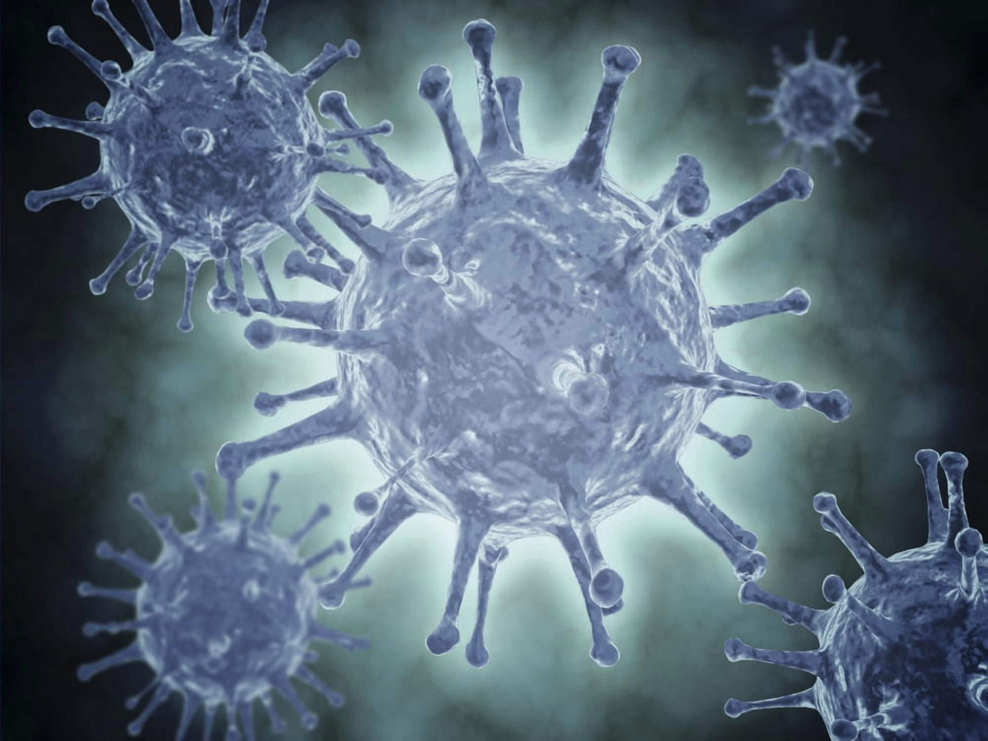 Conceptual image of the Hepatitis C virus Canvas Art - Stocktrek Images (17 x 13)