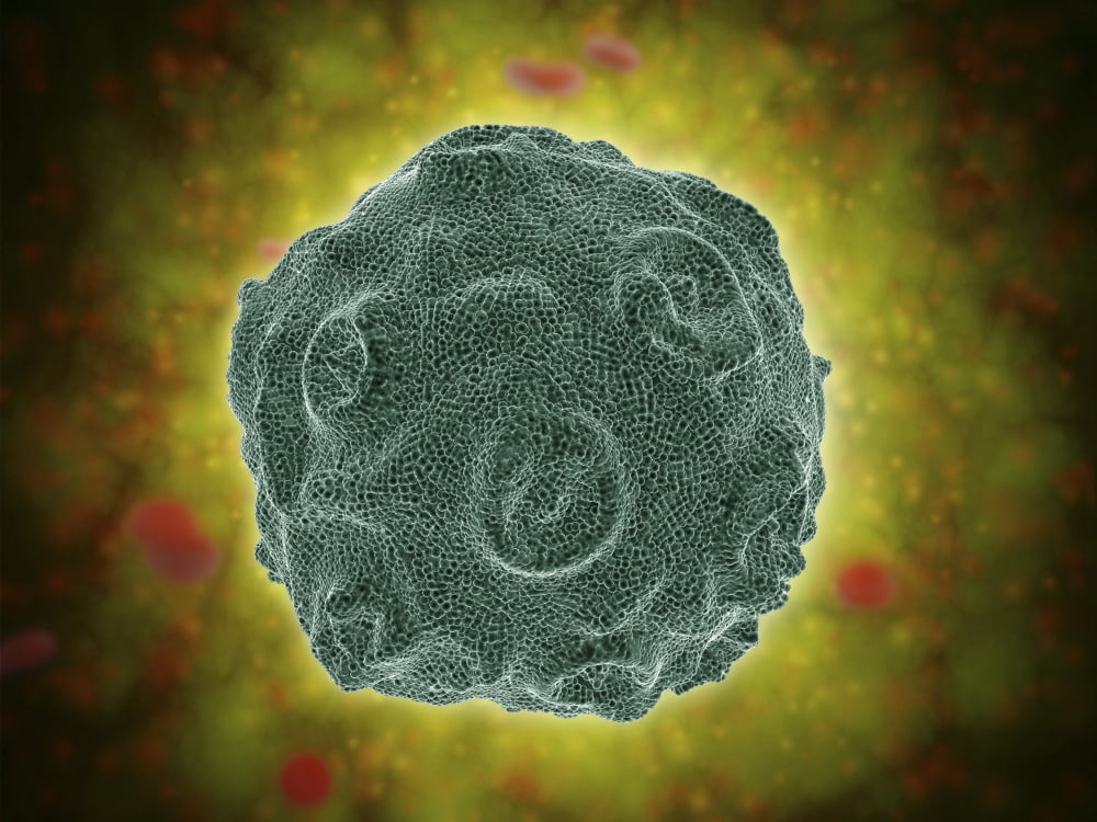Conceptual image of the Human Papilloma Virus Canvas Art - Stocktrek Images (17 x 13)