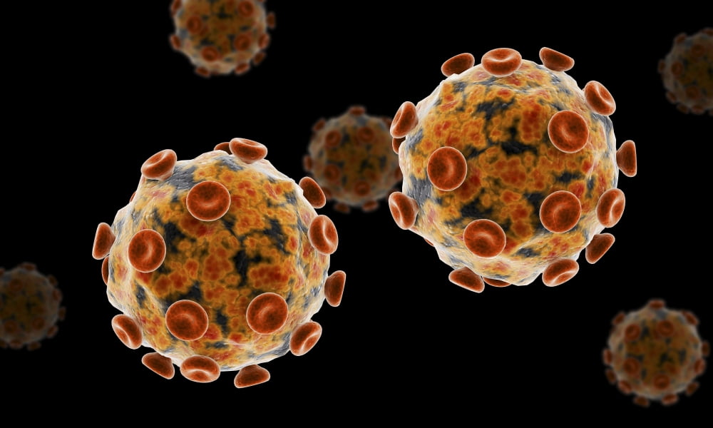 Conceptual image of the Zika virus Canvas Art - Stocktrek Images (18 x 11)