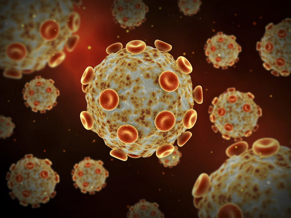 Conceptual image of the Zika virus Canvas Art - Stocktrek Images (33 x 25)