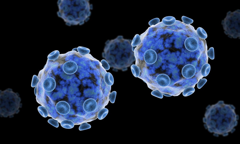 Conceptual image of the Zika virus Canvas Art - Stocktrek Images (36 x 22)